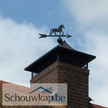 RVS schouwkap met windwijzer en vonkenvanger