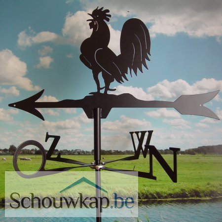 Windwijzer Haan