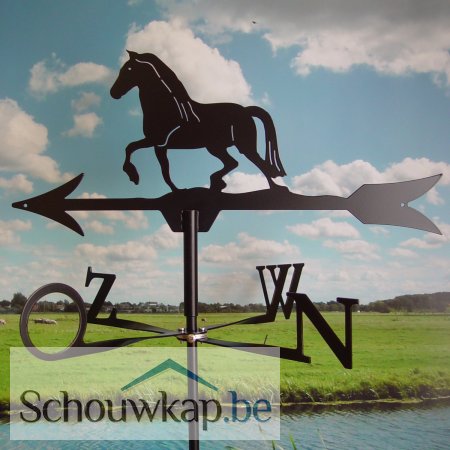 Windwijzer Paard